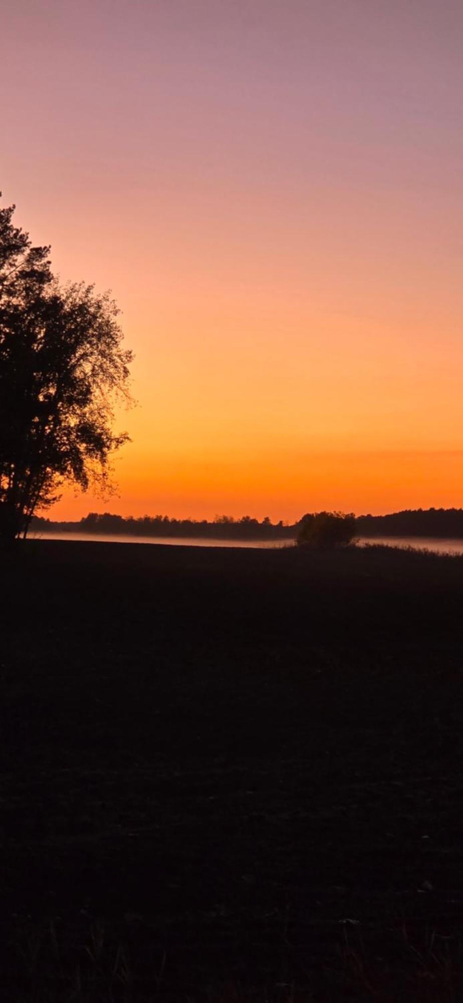 Heidesee Waldpension Gussow מראה חיצוני תמונה